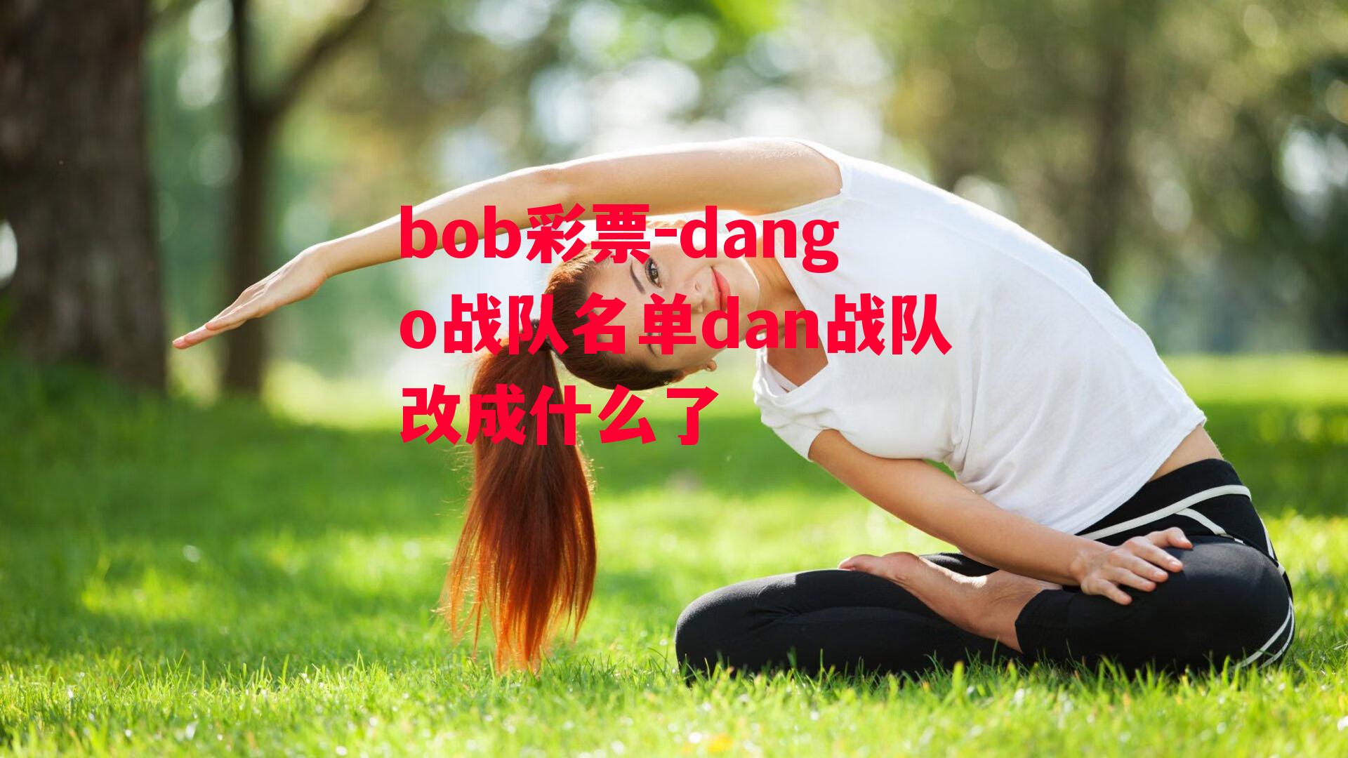 bob彩票-dango战队名单dan战队改成什么了